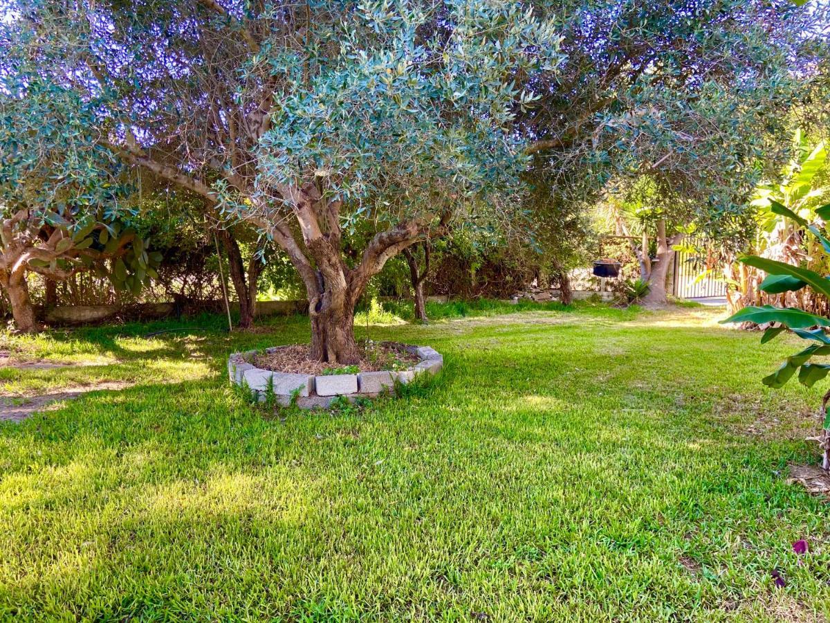 Cottage House,With Big Garden & Lawn Amaliada 외부 사진