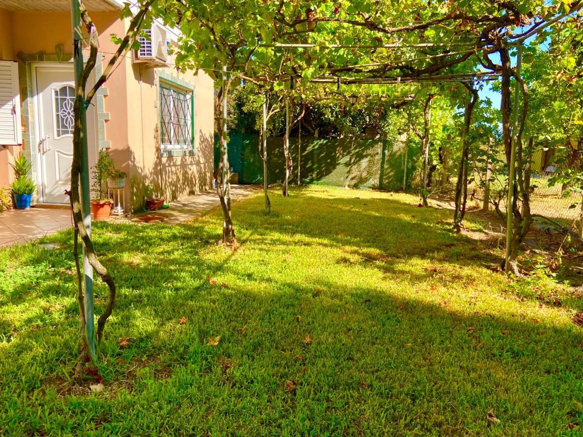 Cottage House,With Big Garden & Lawn Amaliada 외부 사진